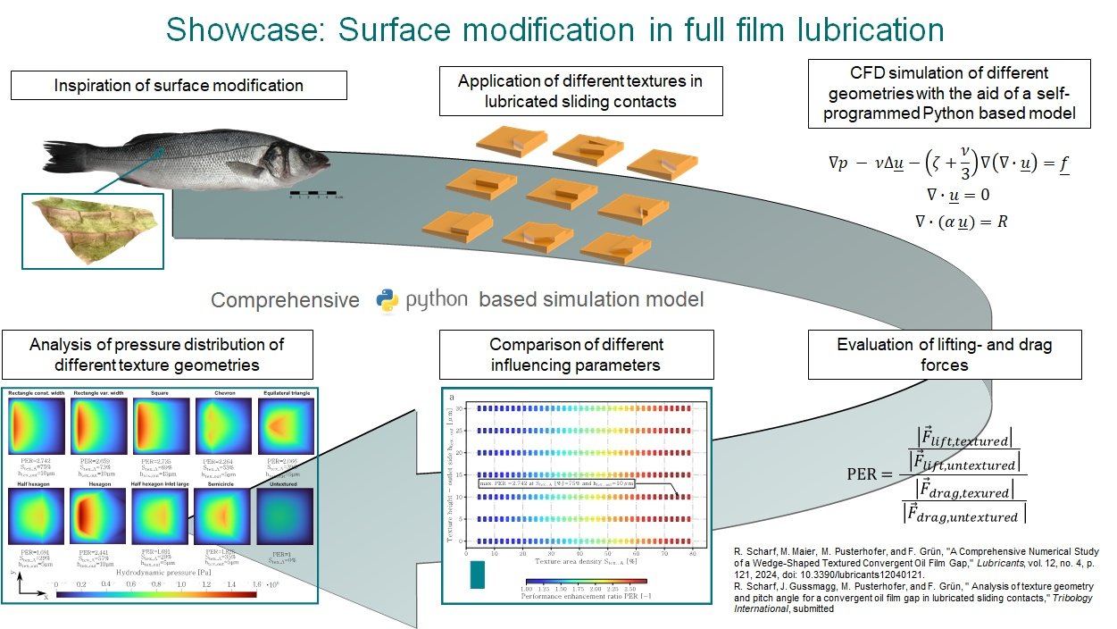 Simulationstechnische Vorgangsweise zur Optimierung der Oberflächenstruktuierung für optimale Schmierfilmverhältnisse. 